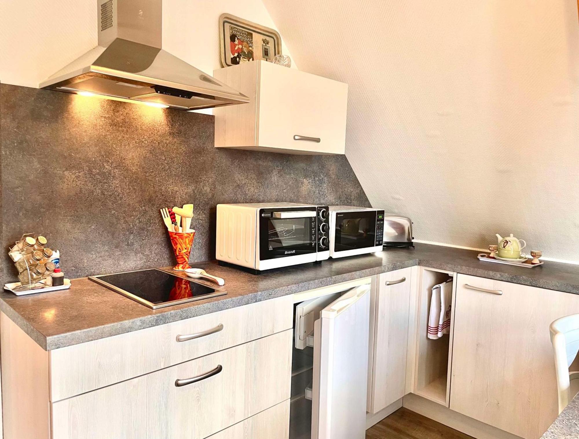 Le Papillon,Logement Cosy En Alsace Erstein Exterior photo